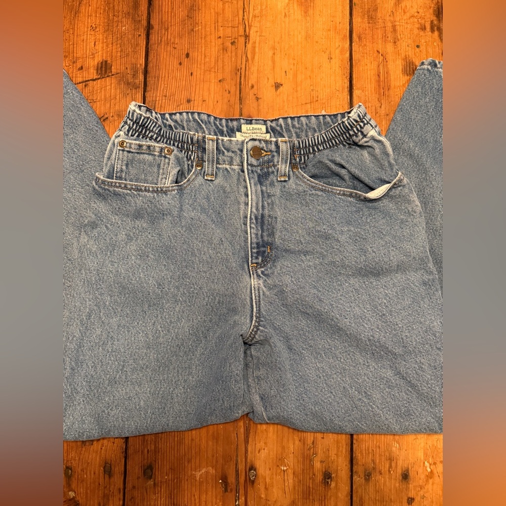 L.L. Bean Blue Plaid Lined Denim